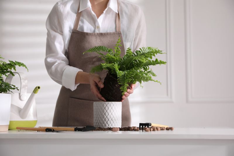 Fern Removal