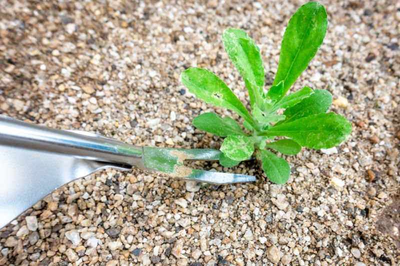 Specialized Removal Contractors