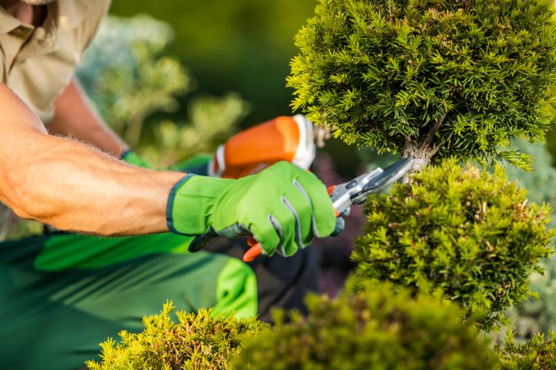 Gardening Service Providers